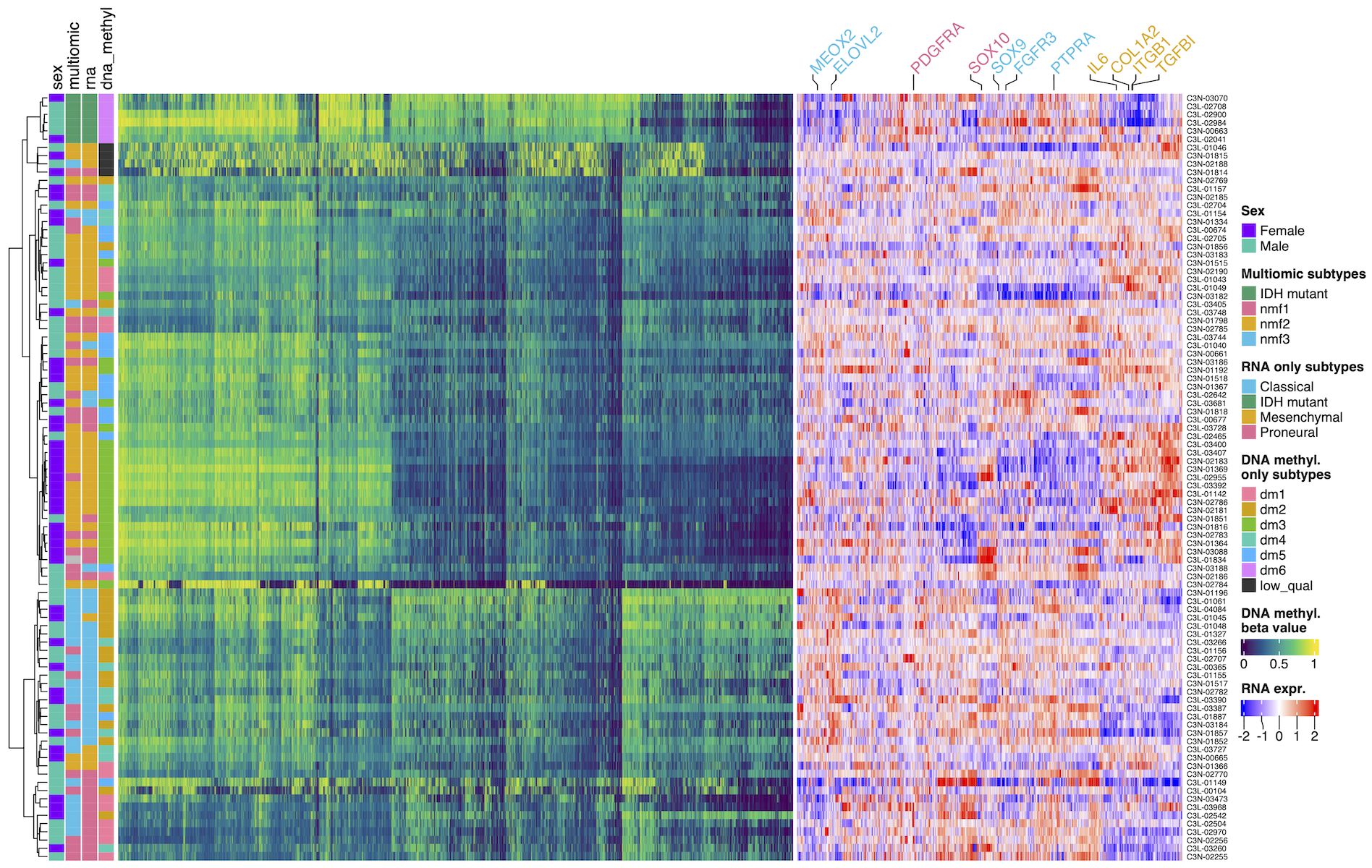 DNA methylation and gene expression landscape of our glioblastoma cohort.